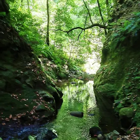 Charming In With A Lovely Terrace - 20 M² Φουνκάλ