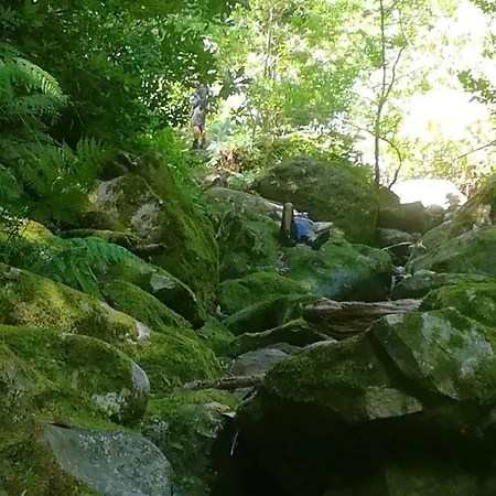 Apartamento Charming In With A Lovely Terrace - 20 M² Funchal (Madeira)